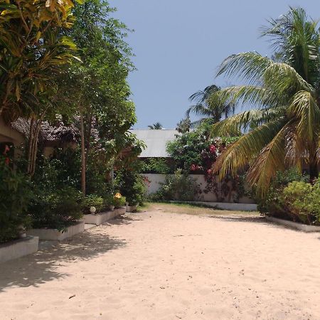 H & H Bungalows Nungwi Εξωτερικό φωτογραφία
