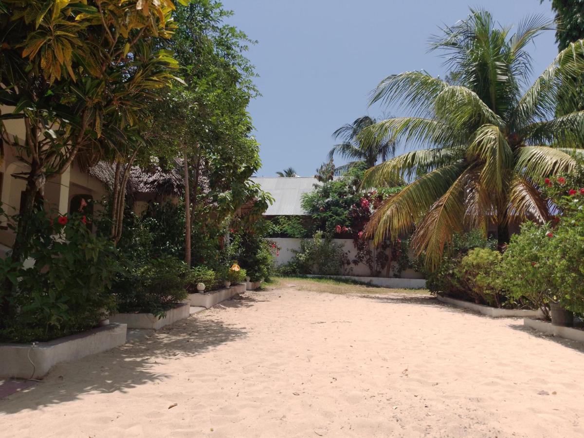 H & H Bungalows Nungwi Εξωτερικό φωτογραφία