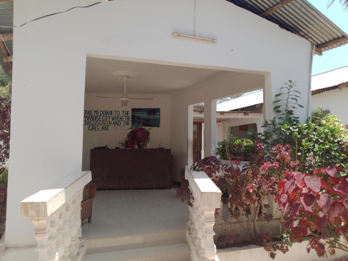 H & H Bungalows Nungwi Εξωτερικό φωτογραφία