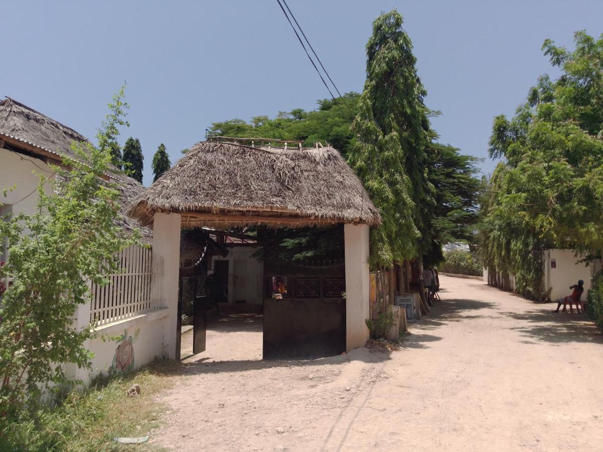 H & H Bungalows Nungwi Εξωτερικό φωτογραφία