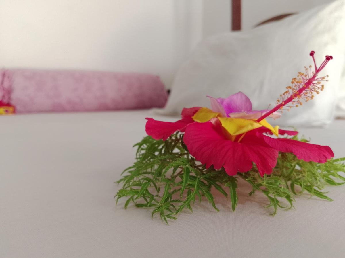 H & H Bungalows Nungwi Εξωτερικό φωτογραφία