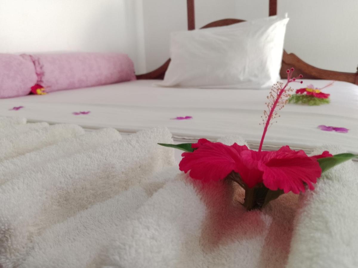 H & H Bungalows Nungwi Εξωτερικό φωτογραφία