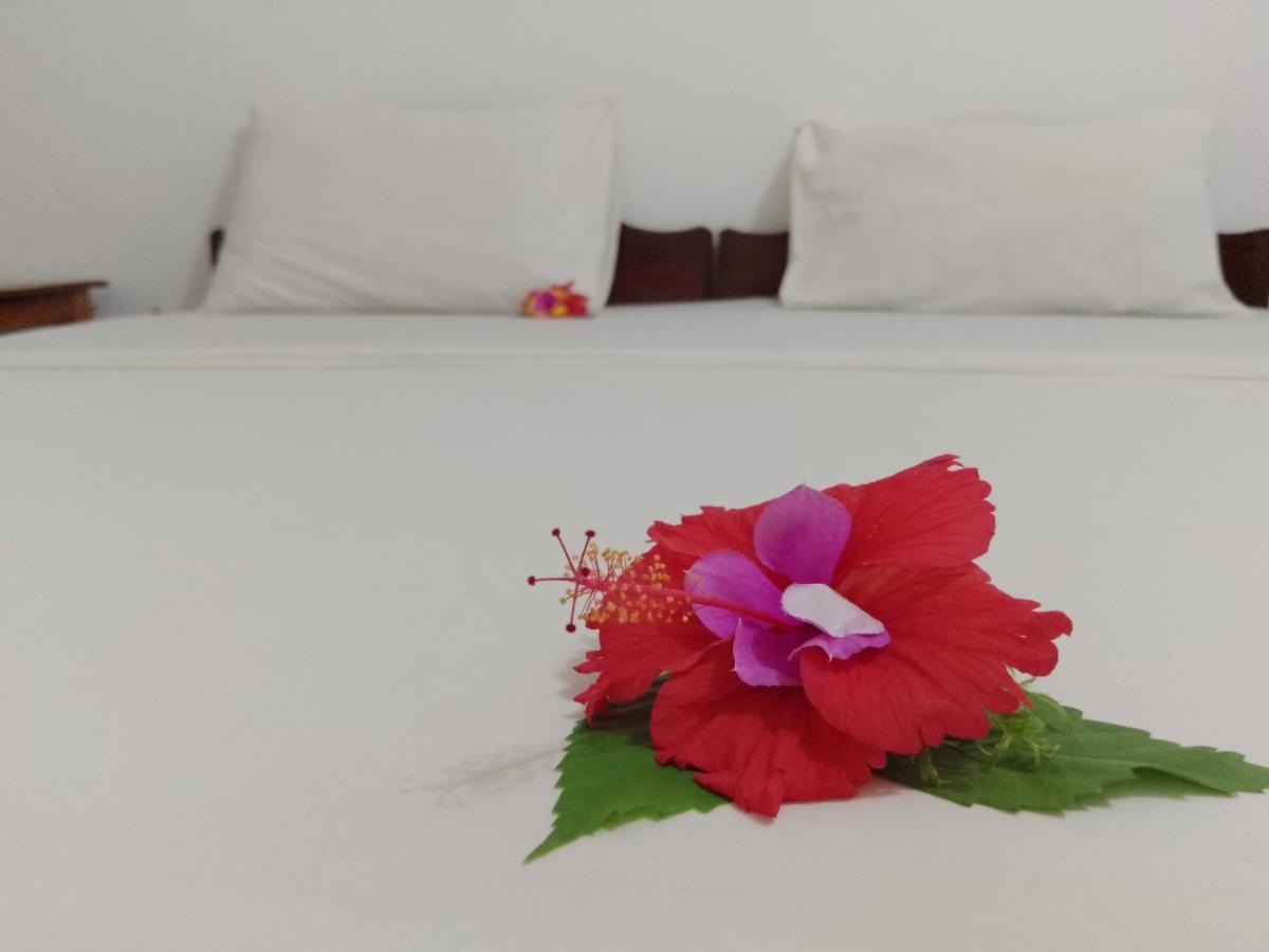 H & H Bungalows Nungwi Εξωτερικό φωτογραφία